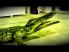 Technoart.gr: Statues & Sculpture (vol.1) @ Thessaloniki 2011