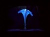 MOMIX - Botanica