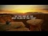 TIFF 2010: 127 HOURS Trailer