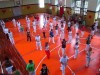 Διεθνές Φεστιβάλ Capoeira Θεσσαλονίκης 2013